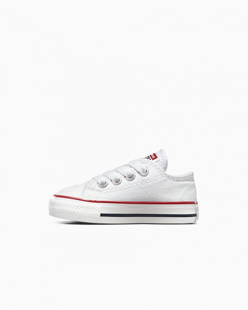 Converse Chuck Taylor All Star Wit | 8214-TRLXK